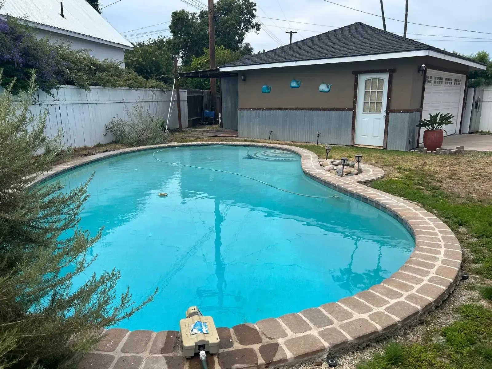 A large swimming pool is in the backyard of a house.