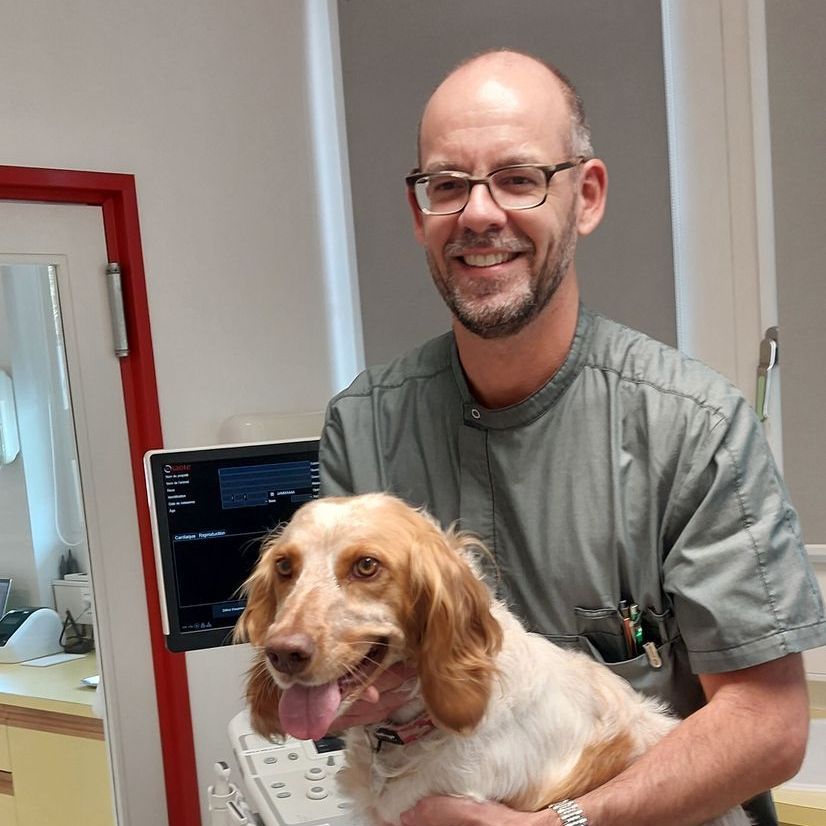 Un homme tient un chien brun et blanc dans ses bras