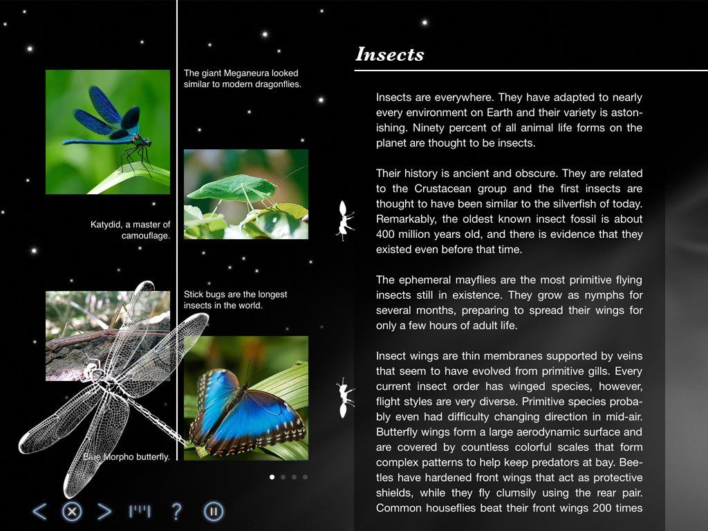 Insects - Back in Time Screenshot - Universe, Earth and World History - App by LANDKA ® Insects - Back in Time Screenshot - Universe, Earth and World History - App by LANDKA ®