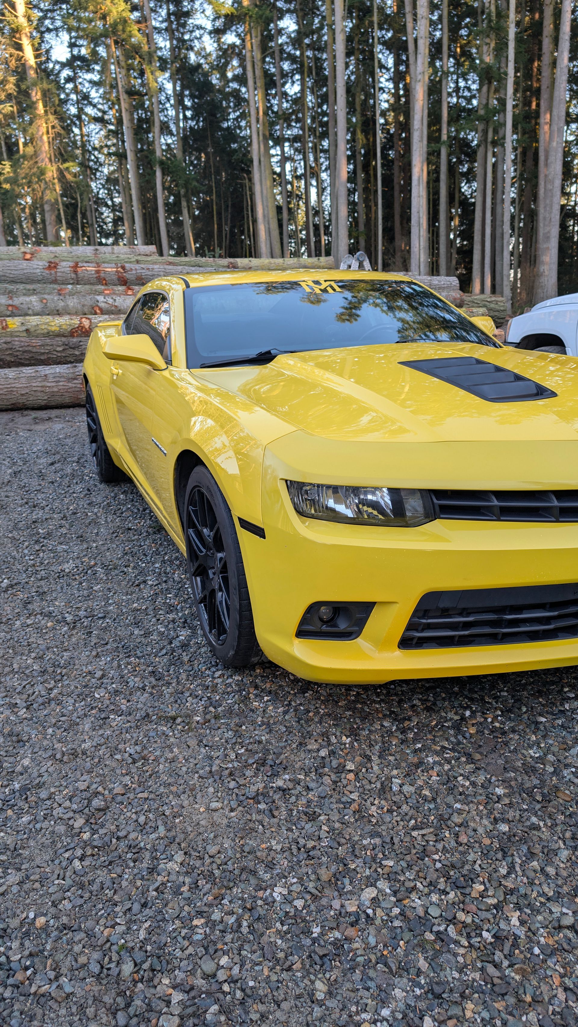 Yellow sports car parked on gravel in a wooded area with tall trees in the background