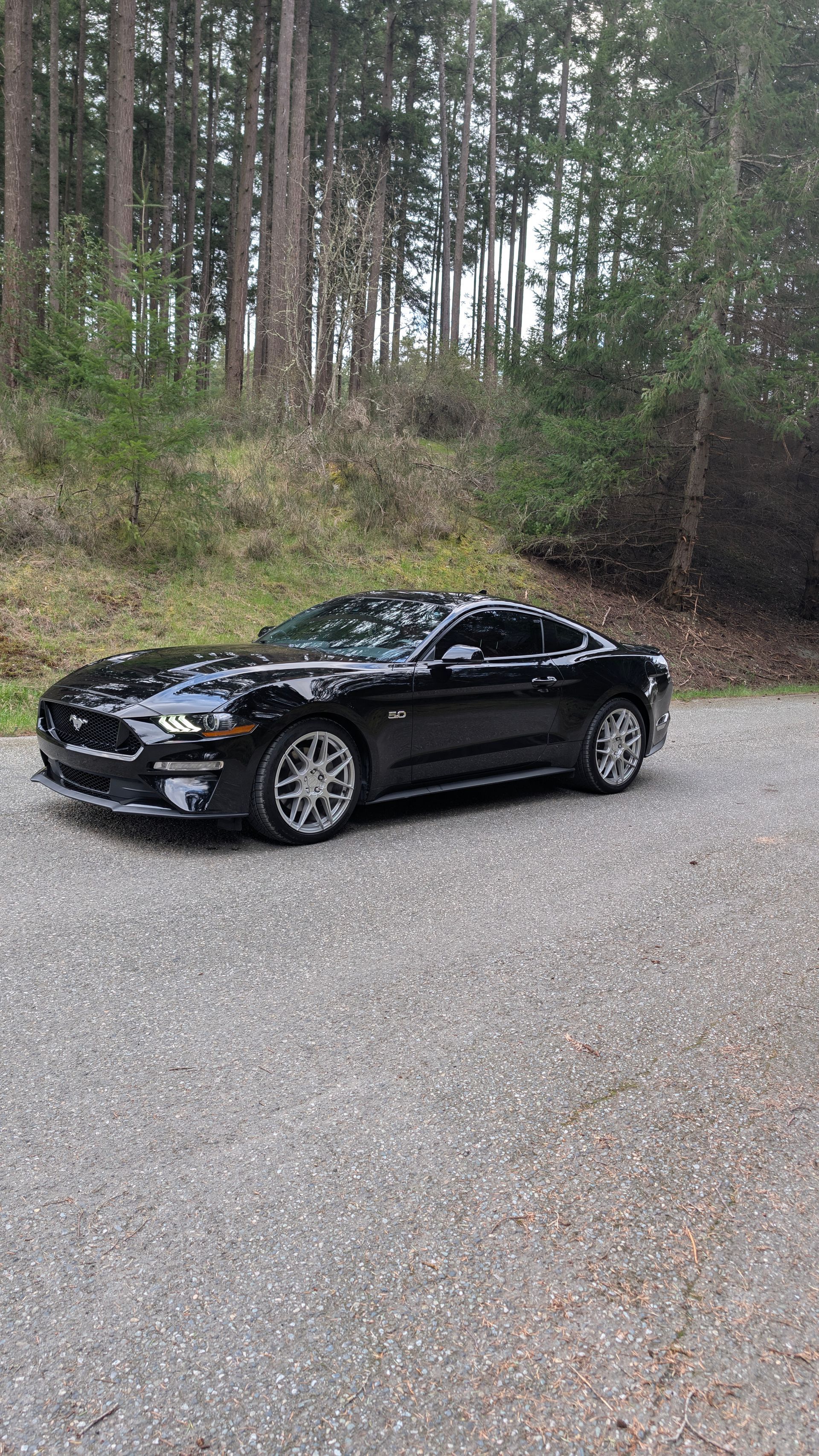 Black sports sedan parked on a gravel road beside a wooded hillside.