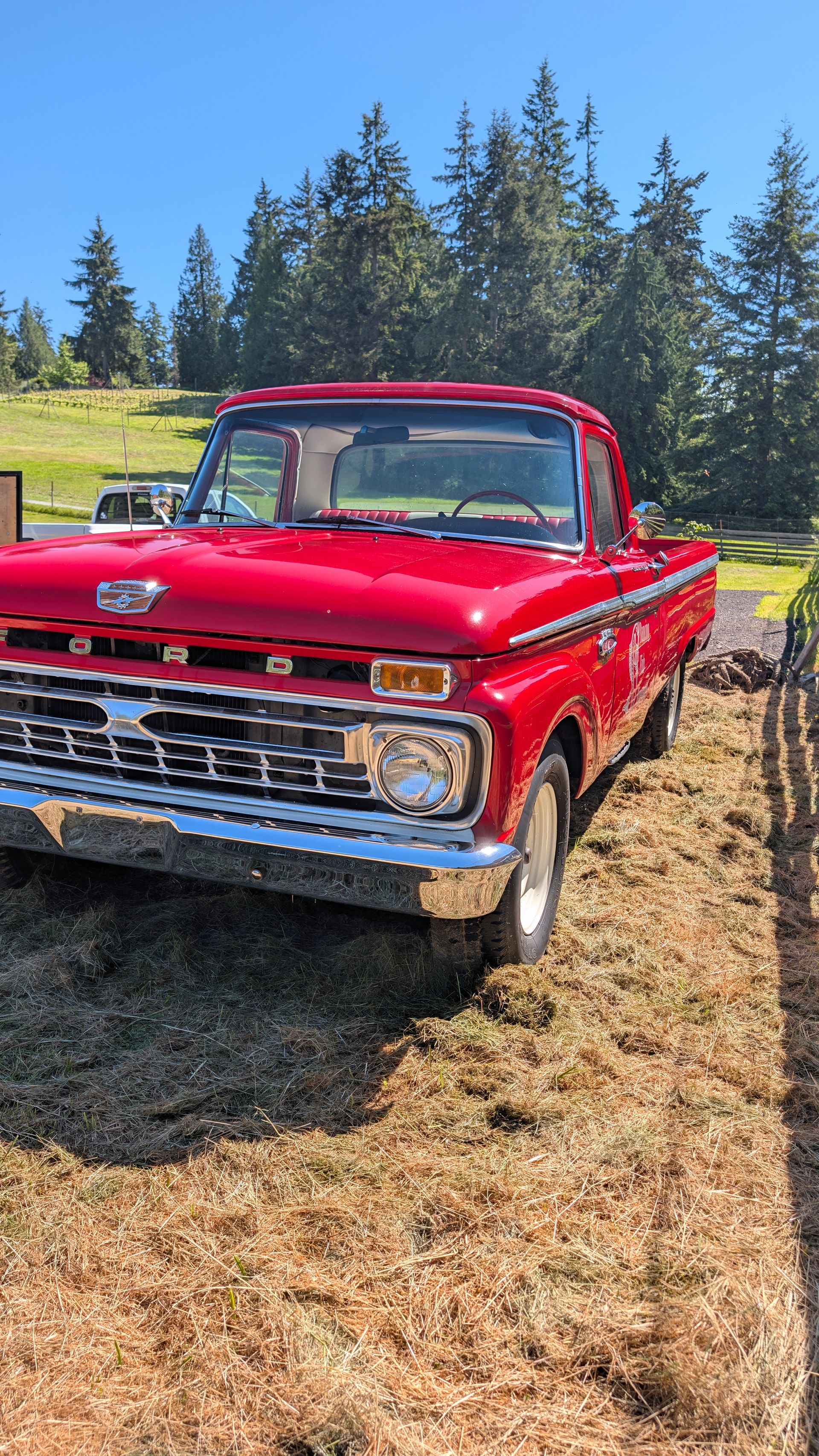 Red vintage pickup truck parked on dry grass with evergreen trees in the background.