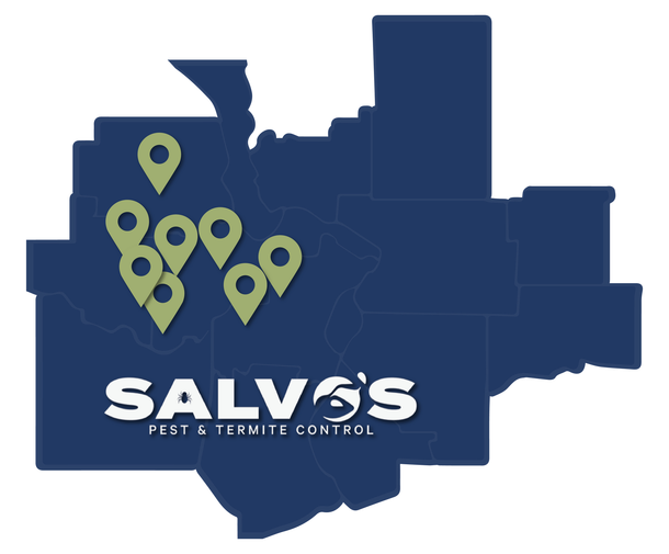 Salvo's Pest Control Is the #1 Exterminator in O'Fallon, MO & Surrounding Communities.