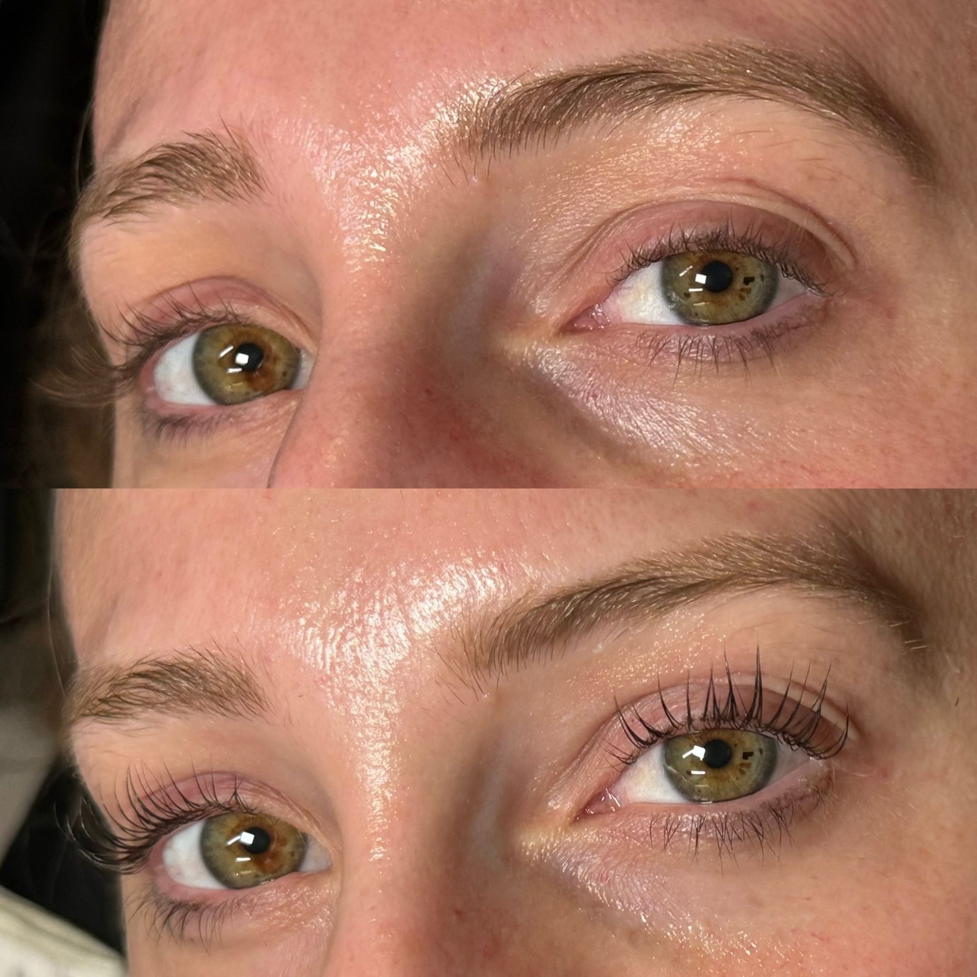 lexington kentucky lash lift and tint