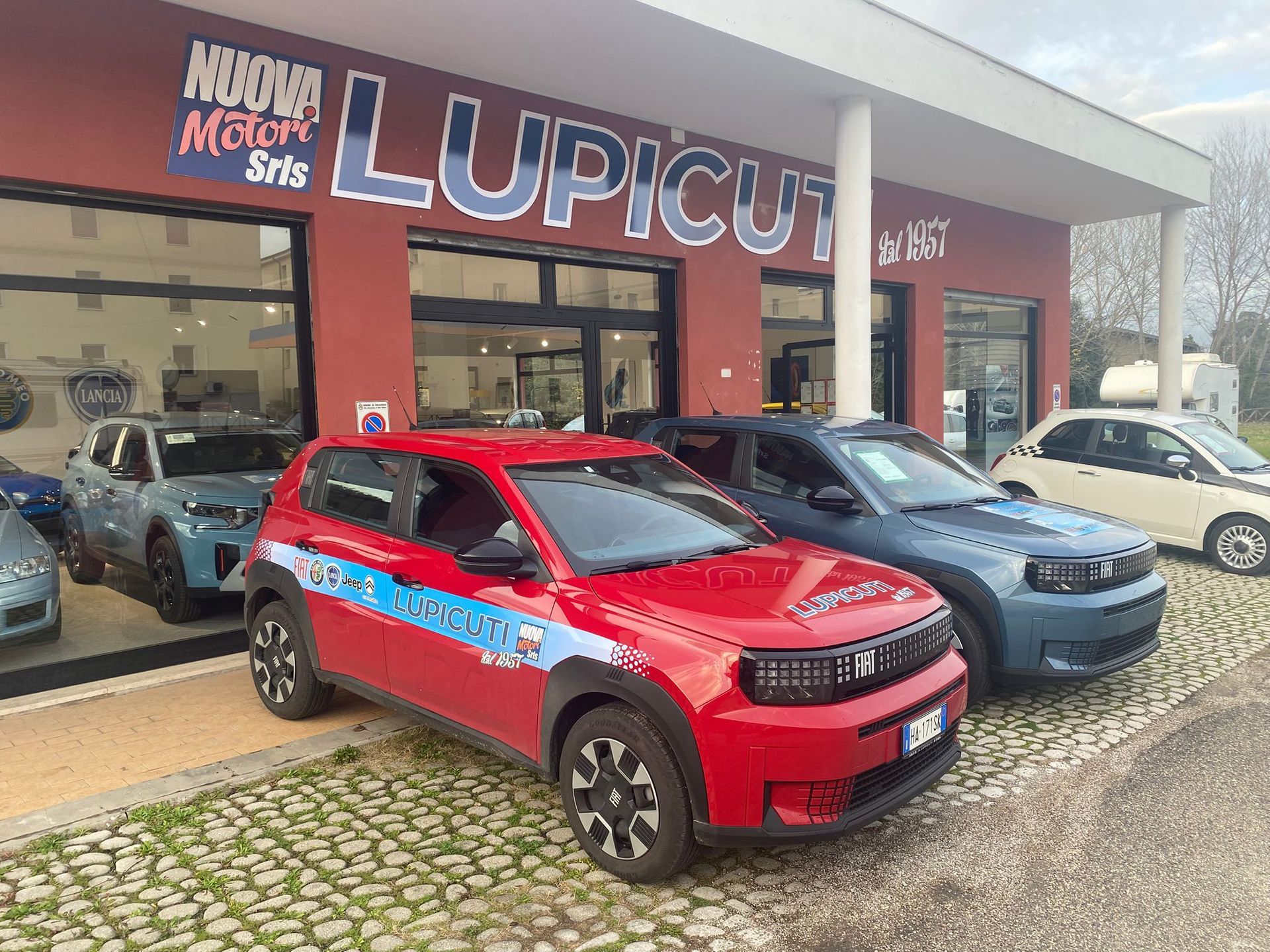 Vendita auto nuove