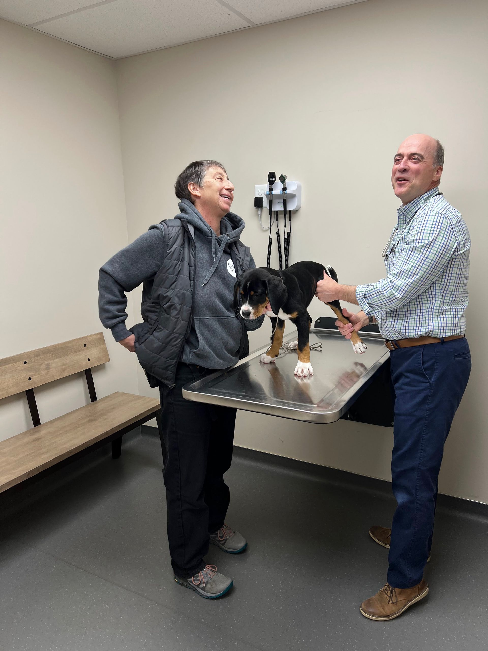 Two people smiling with a small dog on a veterinary exam table in a clinic room