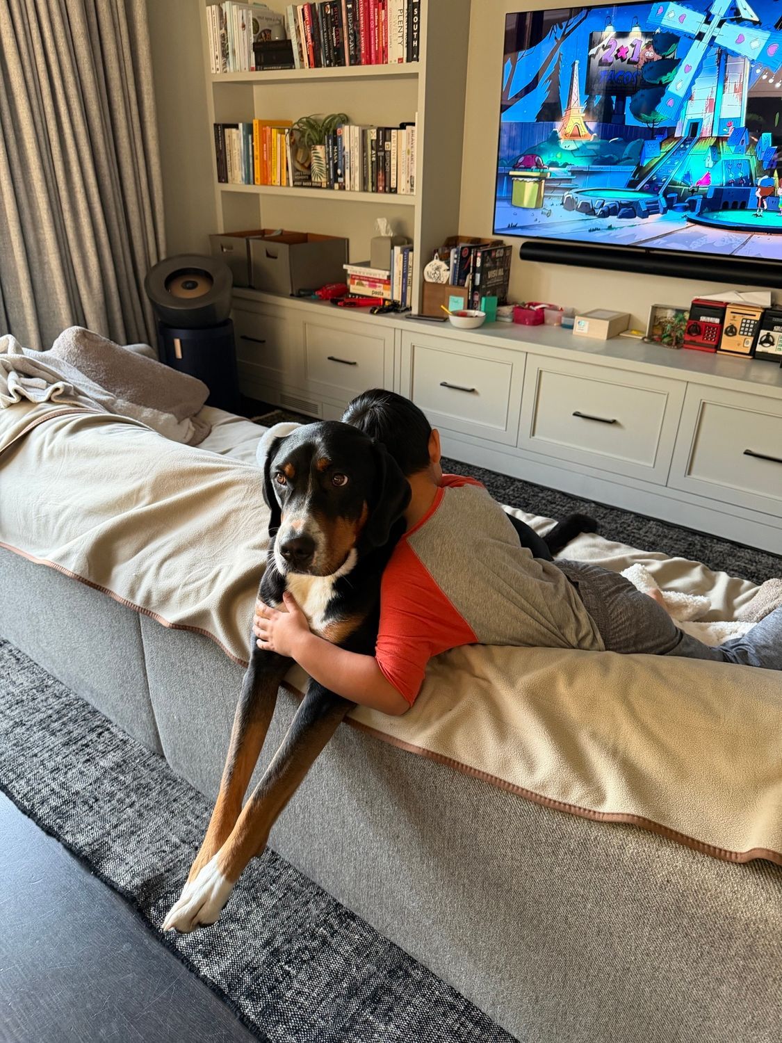 Dog lying on a couch, resting its paws over a blanket in a living room with a TV on.