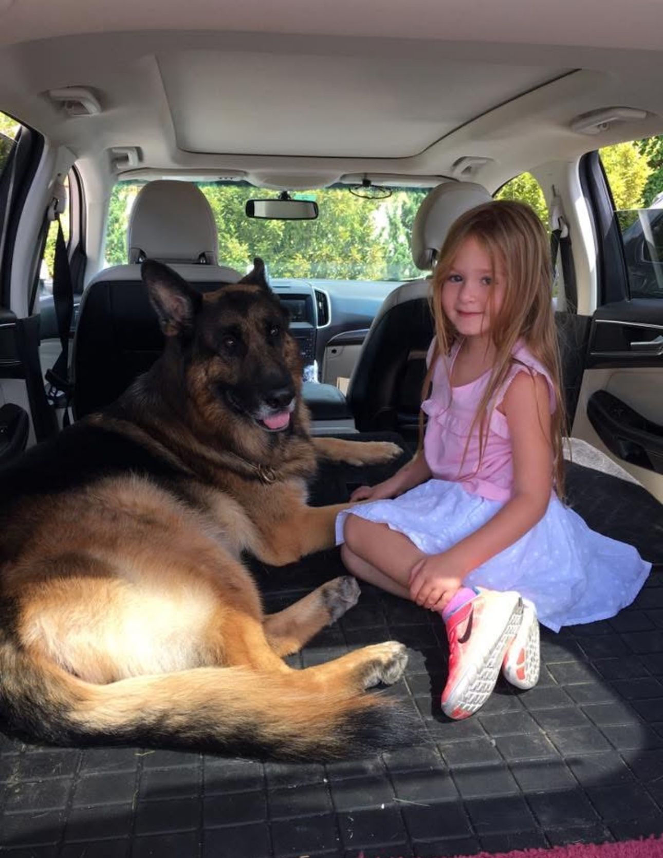 Girl sitting with a large German shepherd in the backseat of a car