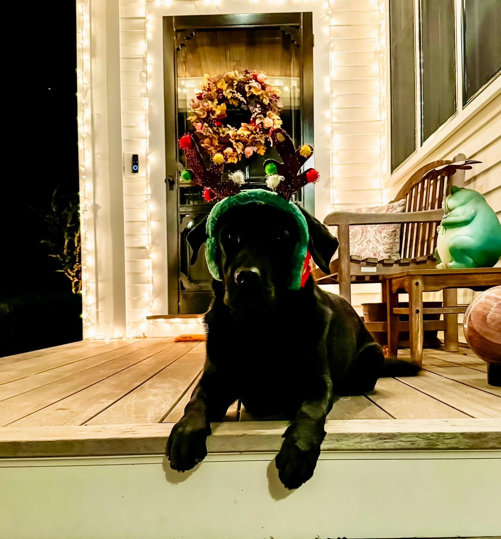 Black dog in a green costume lying on a porch step at night, with a lit wreath behind it.