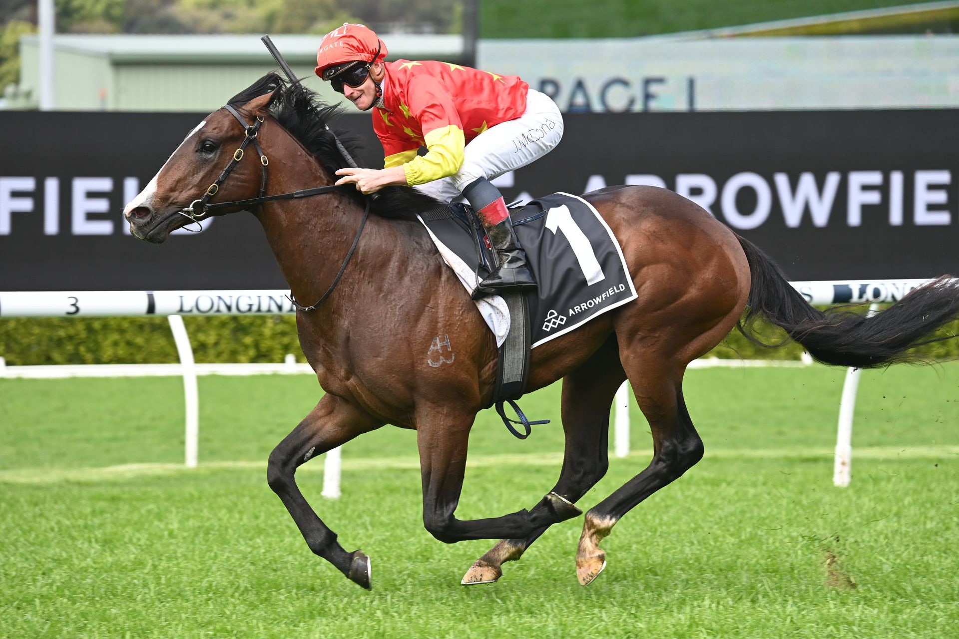 A jockey is riding a horse on a race track.