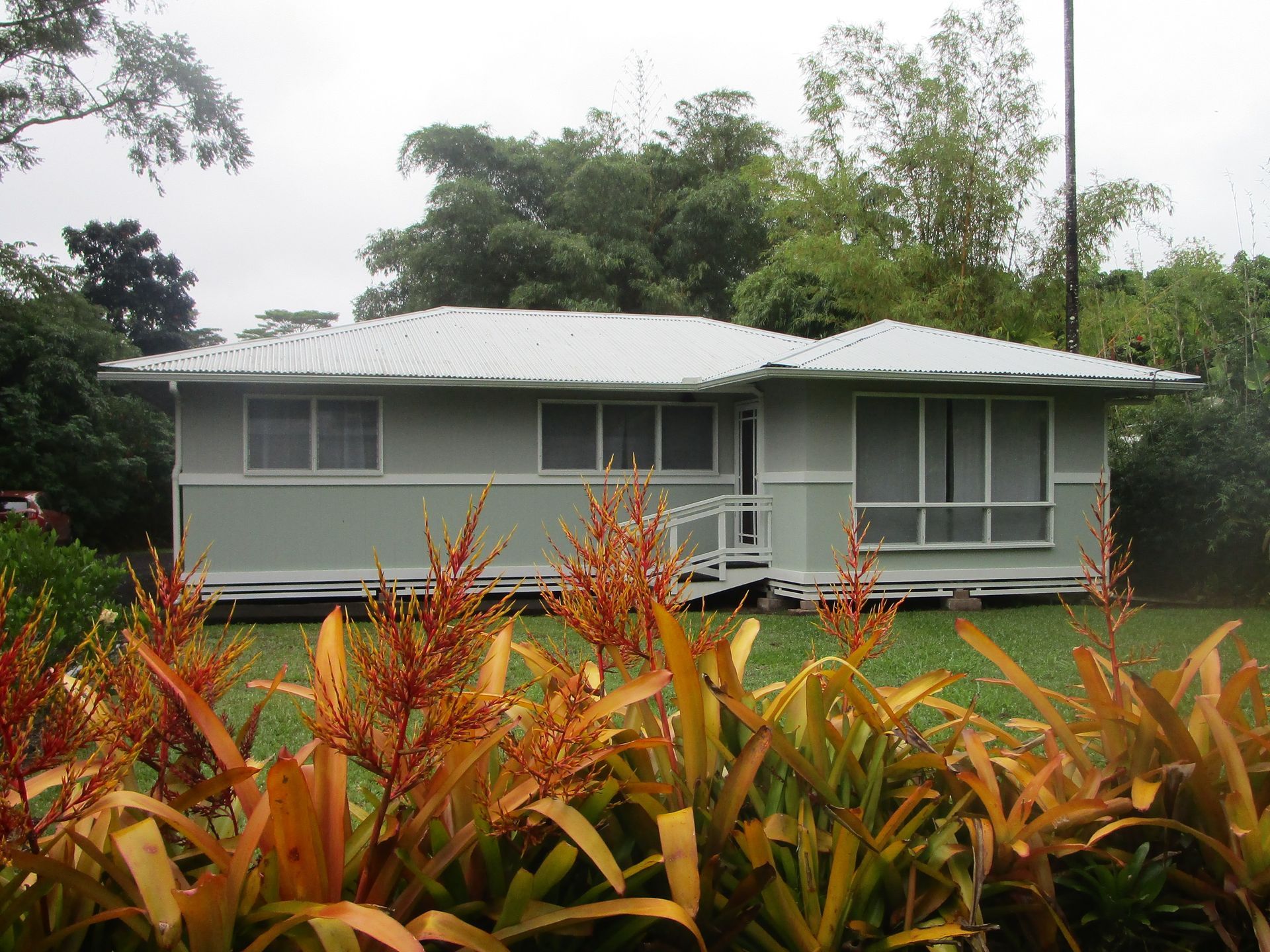 A house with a white roof is surrounded by trees and plants