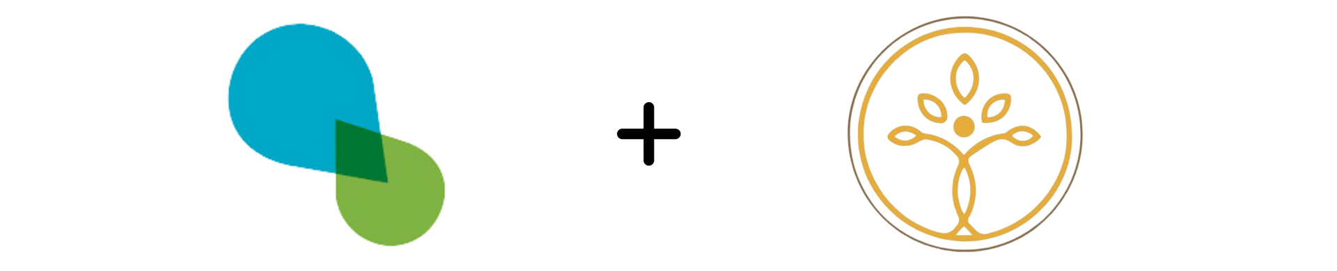 A blue and green circle with a cross and a tree in a circle.