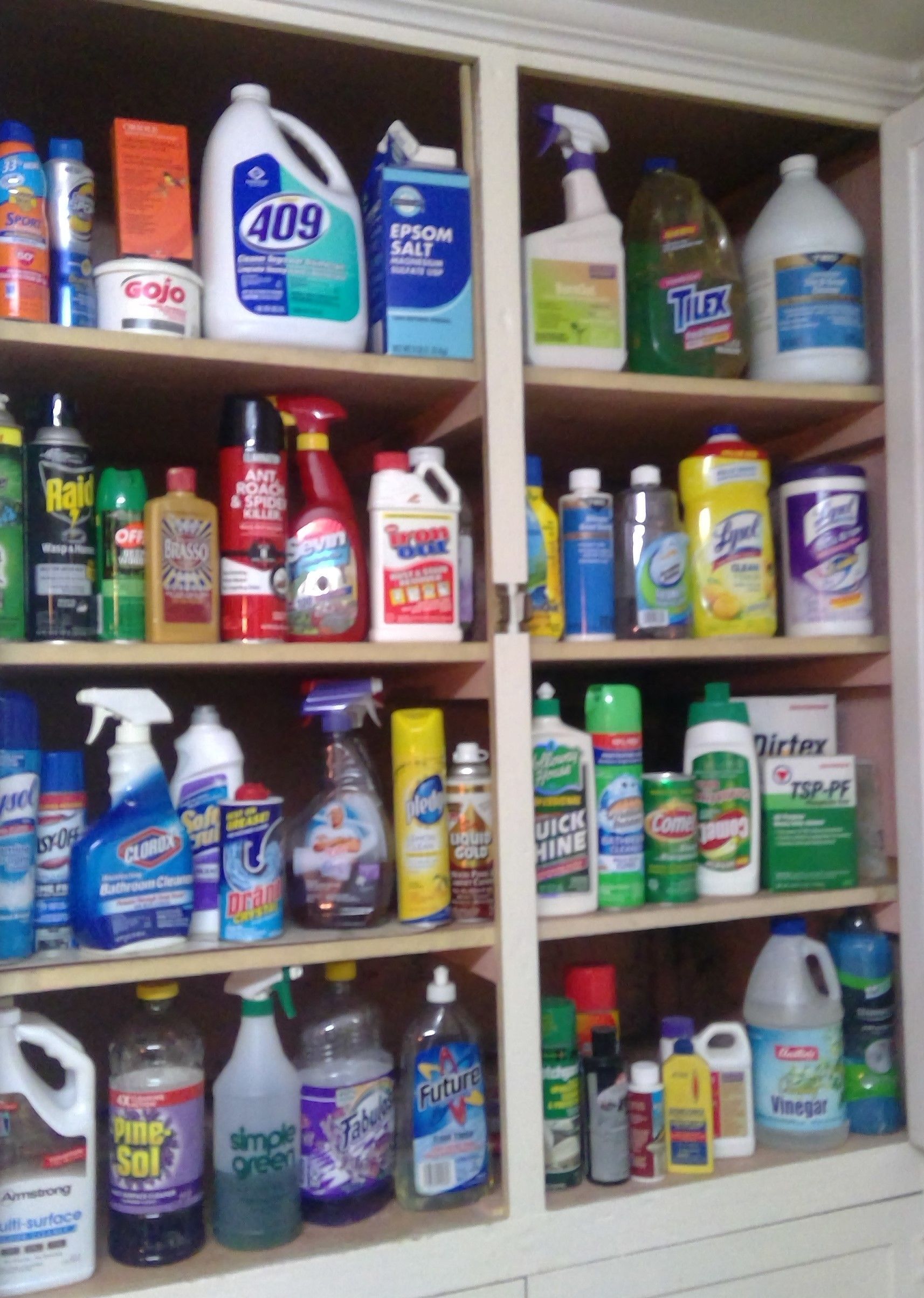 Assorted Cleaning Sprays and Luquid Detergents | Anne's Anteex | Lake Ave., Peoria, IL