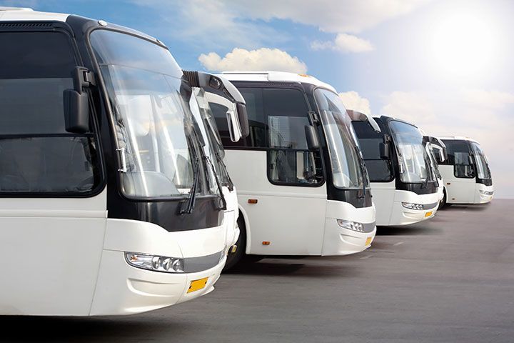 Viajas en autobús
