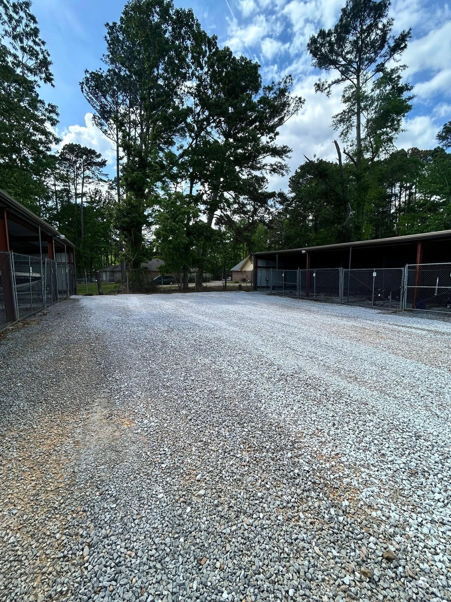Gravel-covered path between dark sheds and tall pine trees under a blue sky