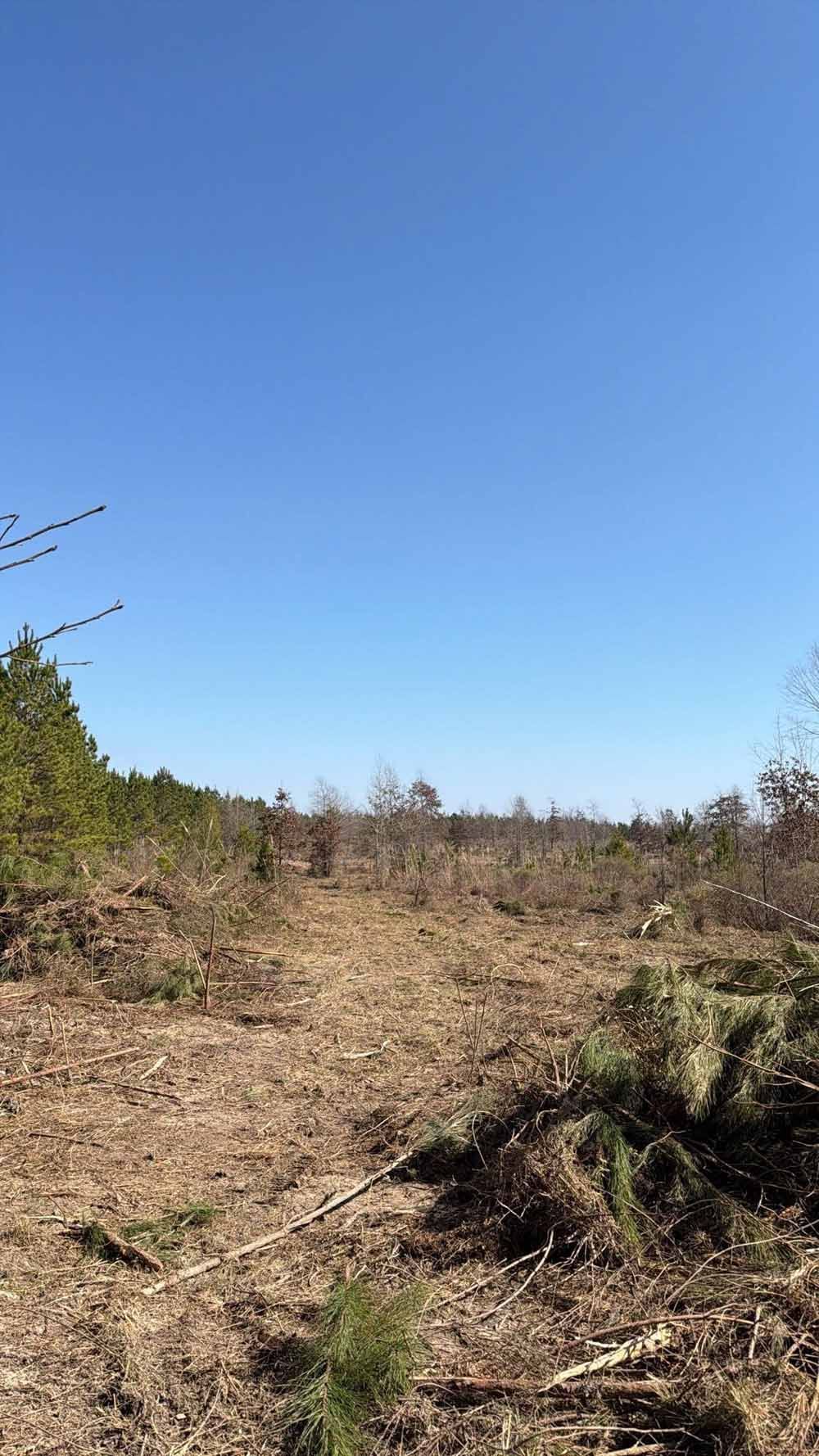 Cleared field with dry brush and shrubs under a clear blue sky
