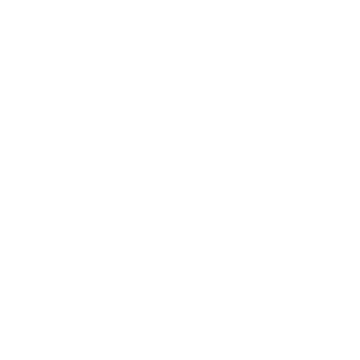 Professional Support