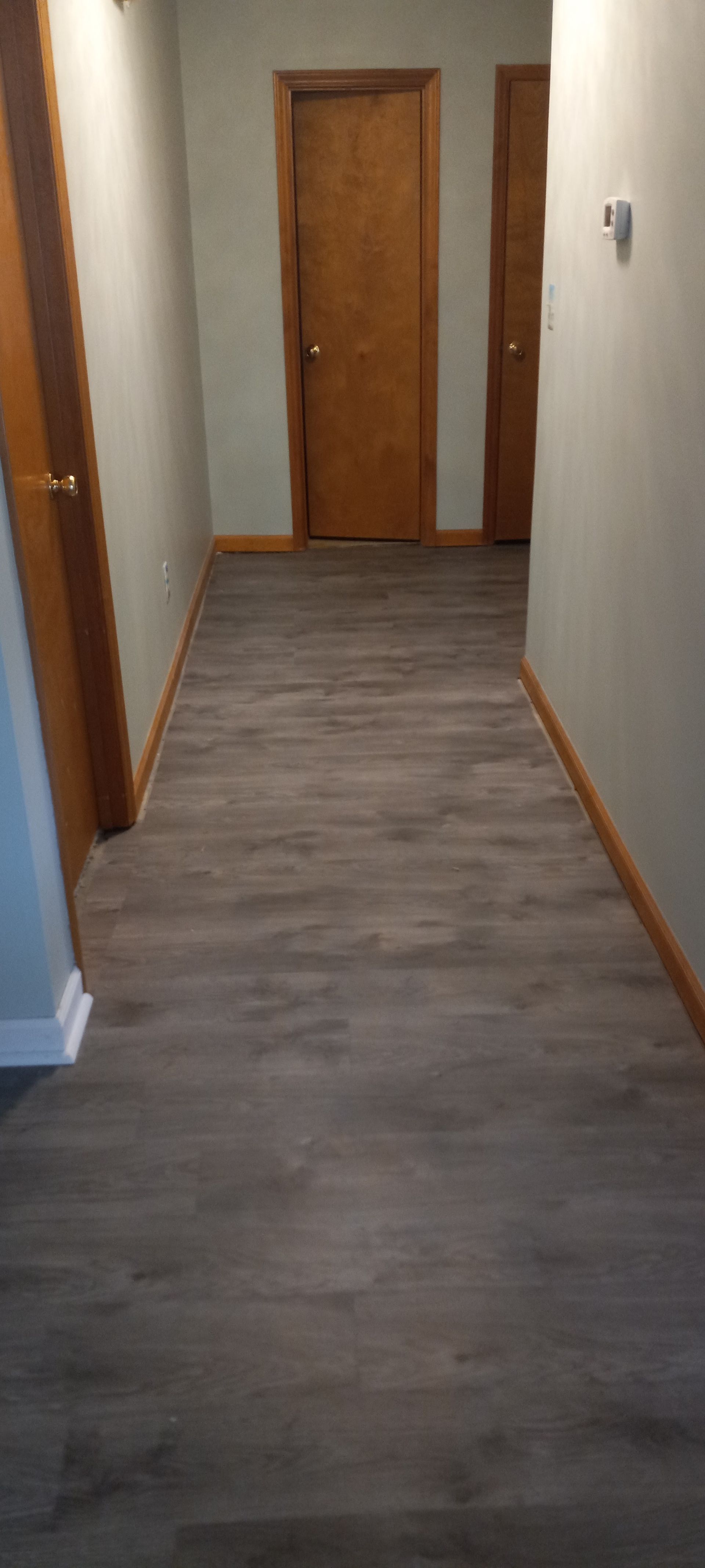 A narrow indoor hallway featuring wood-look vinyl flooring, light-colored walls, and two wooden doors at the far end.