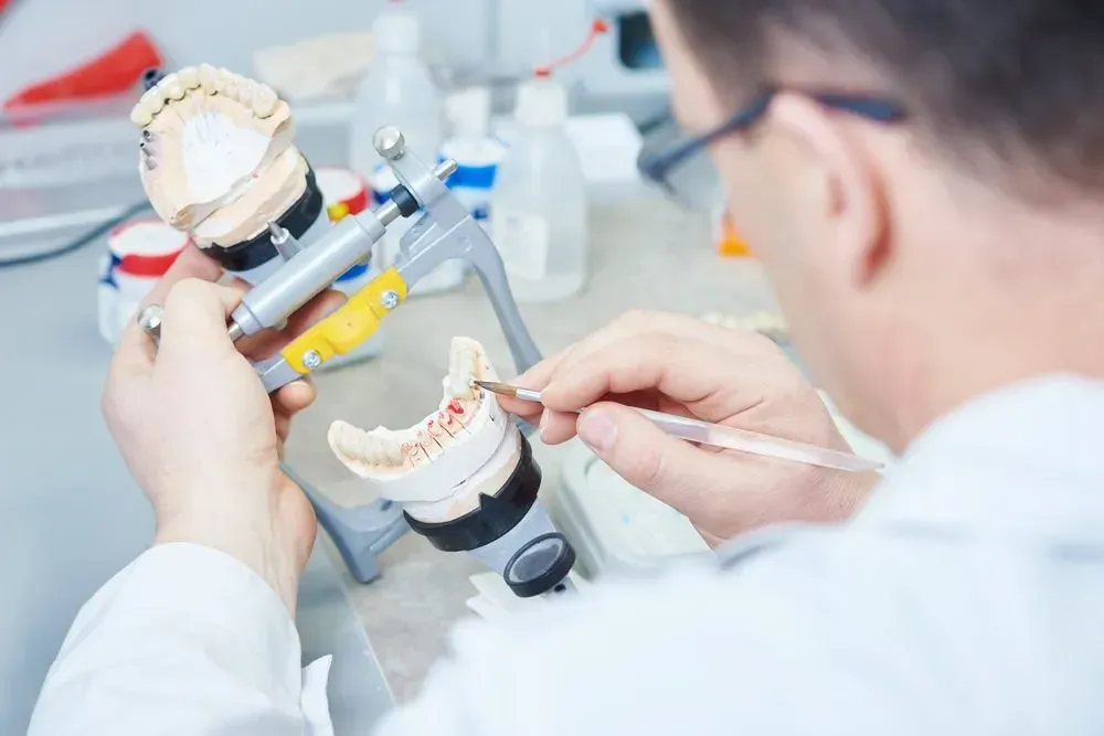 A Dentist is Working on a Model of a Person 's Teeth — Twin Towns Denture Clinic In Nabiac, NSW