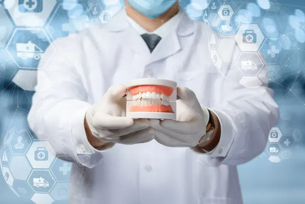 A Dentist is Holding a Model of Teeth in His Hands — Twin Towns Denture Clinic In Forster, NSW