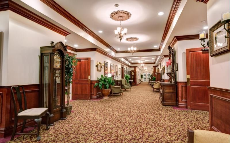 Elegant hotel hallway with patterned carpet, wood paneling, chandeliers, and potted plants.