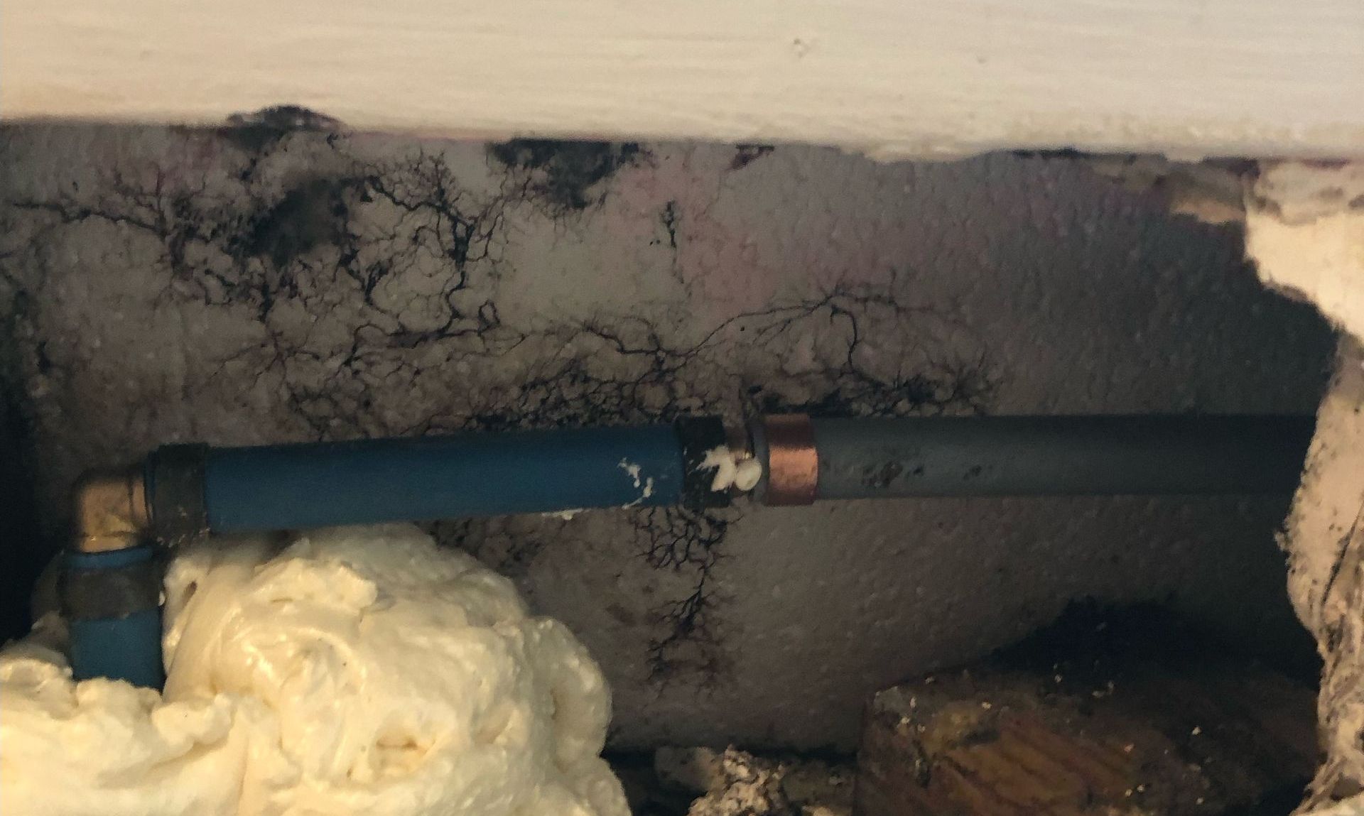 Plumber Repairing Sink - Niceville, FL - 7 Kids Plumbing Co.