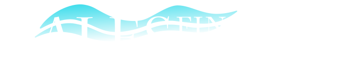 Bales Financial Group