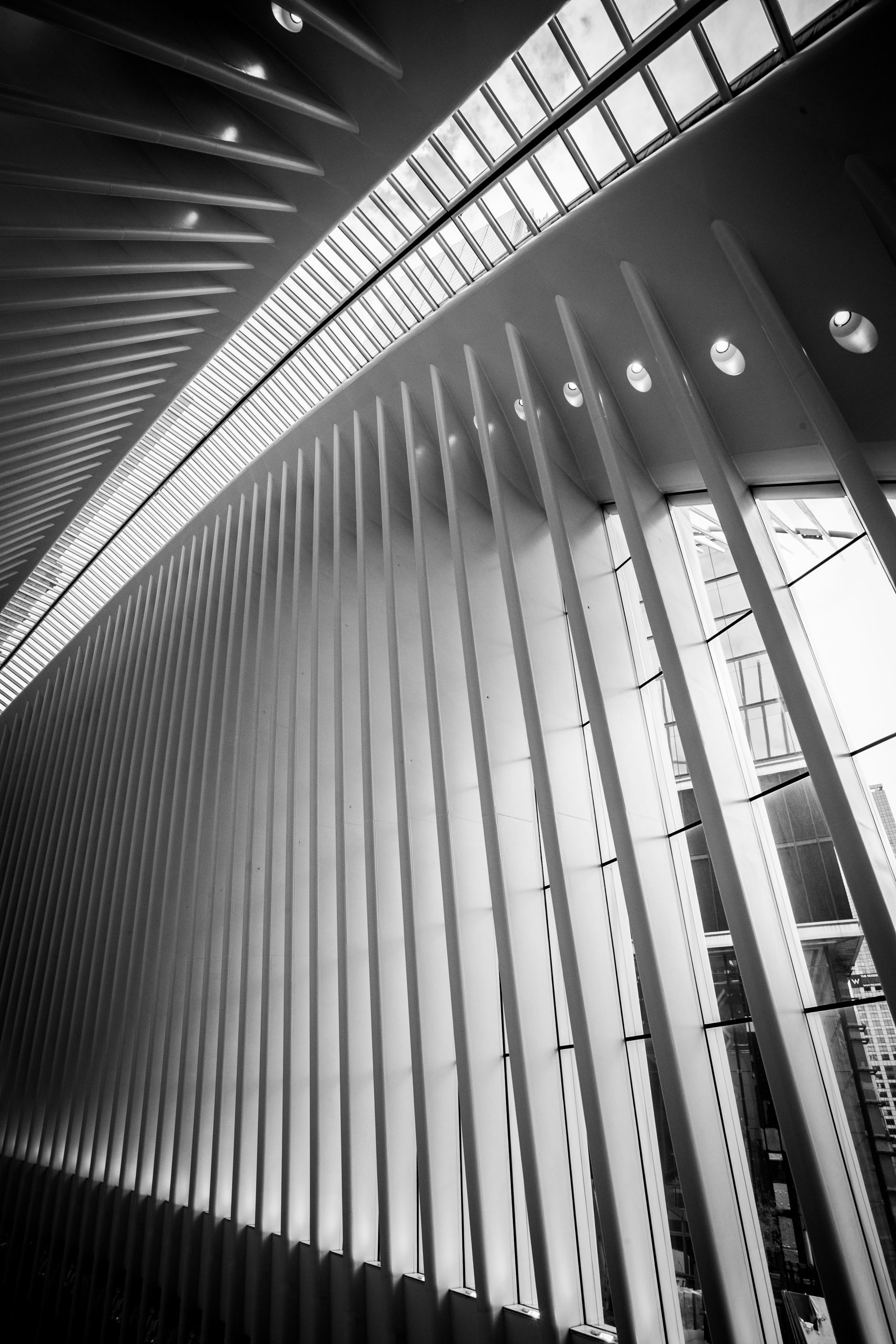 Black-and-white view of a modern architectural interior with tall vertical beams and a curved skylit ceiling — Las Vegas architectural photography