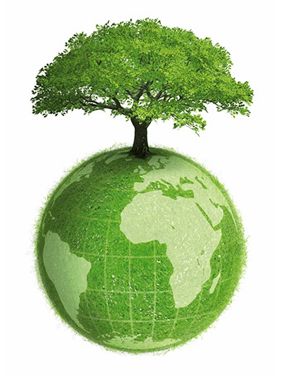 COMERCIALIZADORA ECOLÓGICA DE OCCIDENTE SA DE CV - Manejo de residuos biológicos