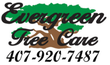 Evergreen Tree Care Evergreen Tree Care