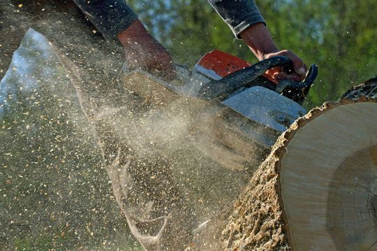 A man is cutting a log with a chainsaw A man is cutting a log with a chainsaw