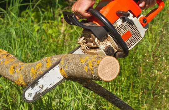 A person is cutting a tree branch with a chainsaw. A person is cutting a tree branch with a chainsaw.