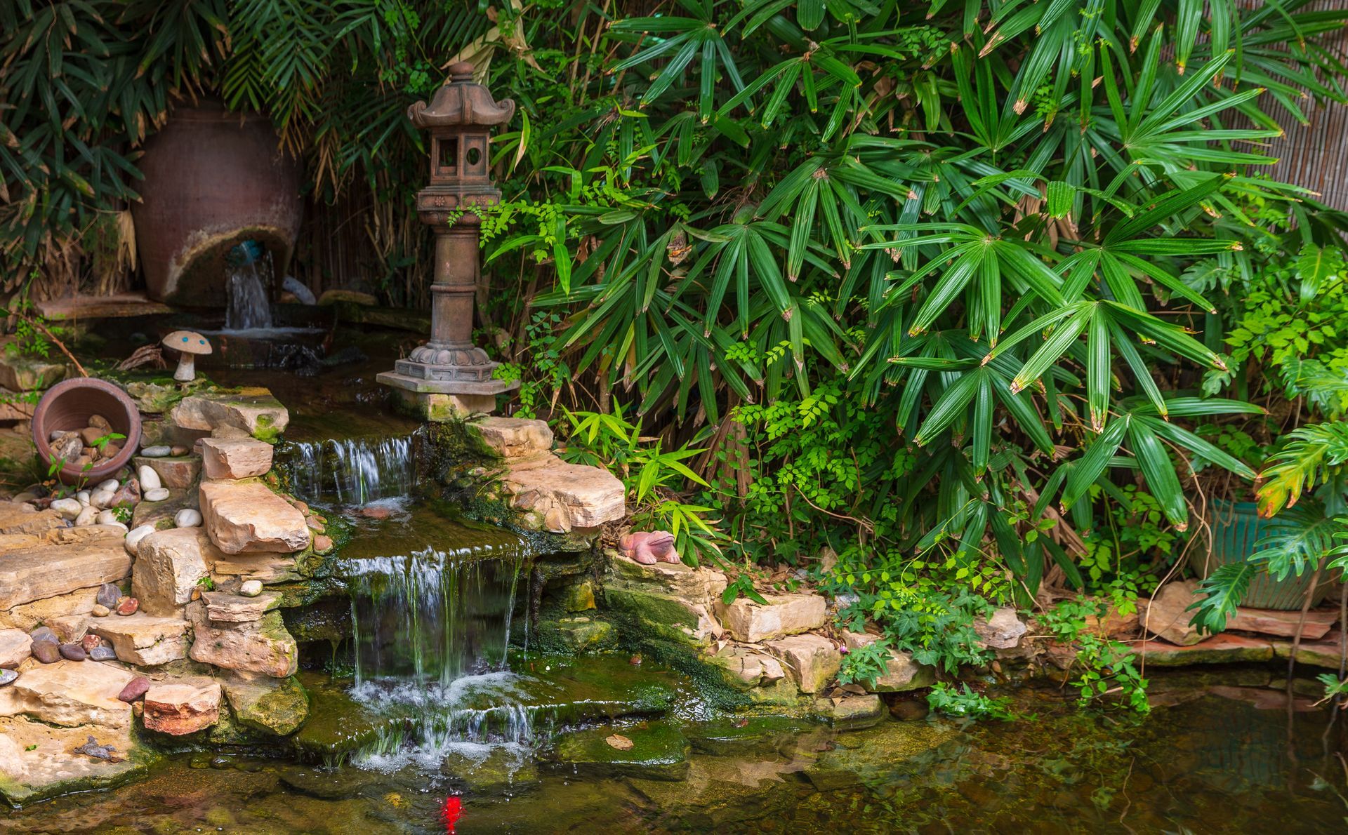 Pond maintenance