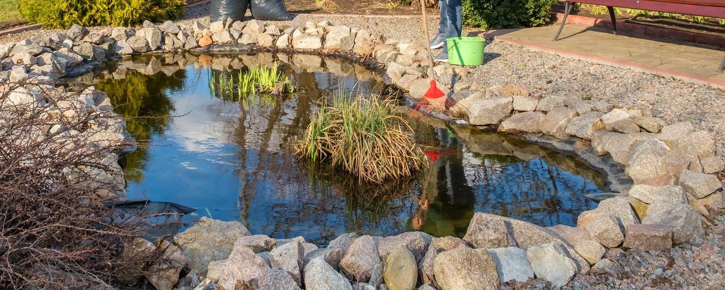 Pond Cleaning Services