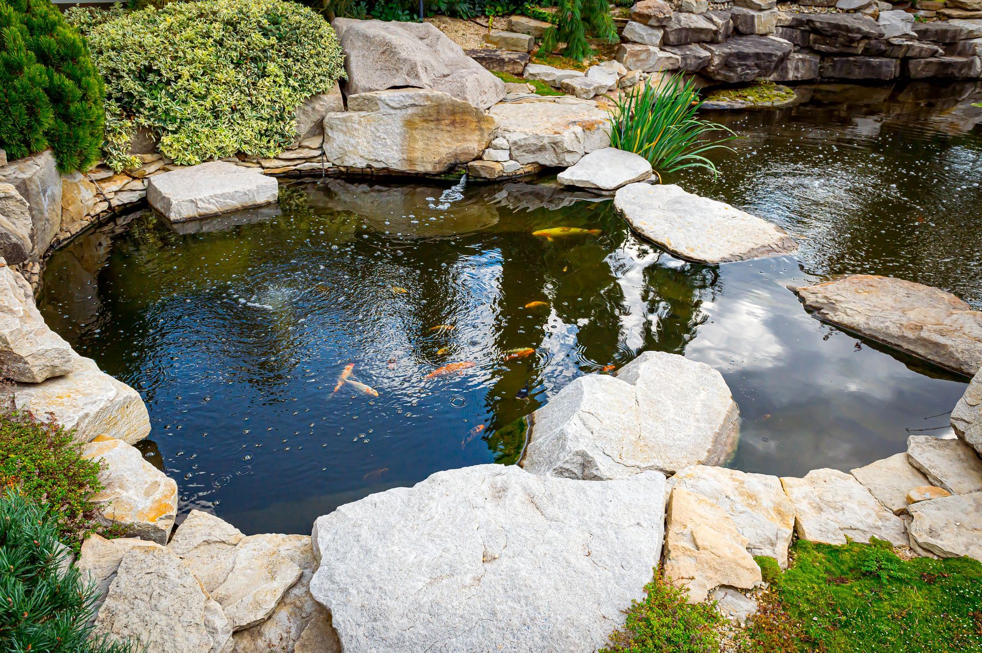 Koi Pond Building