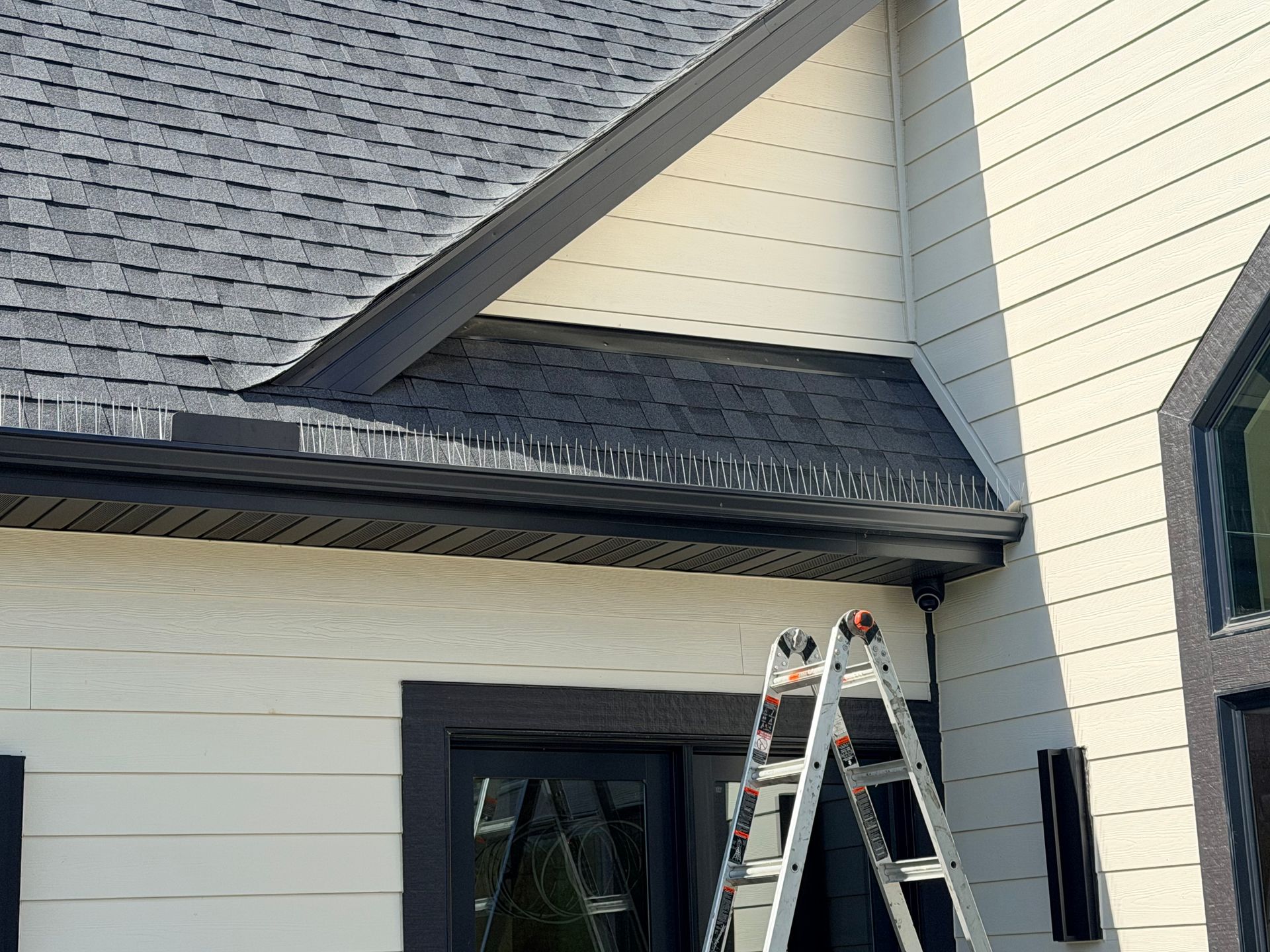 Ladder leaning against a house under the roof eaves, with gray shingles and cream siding.