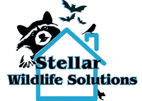 Stellar Wildlife Solutions logo with black bat, roof outline, and bat silhouettes in blue and black