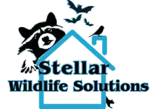 Logo for Stellar Wildlife Solutions with black bat and wildlife silhouettes over a blue roof outline