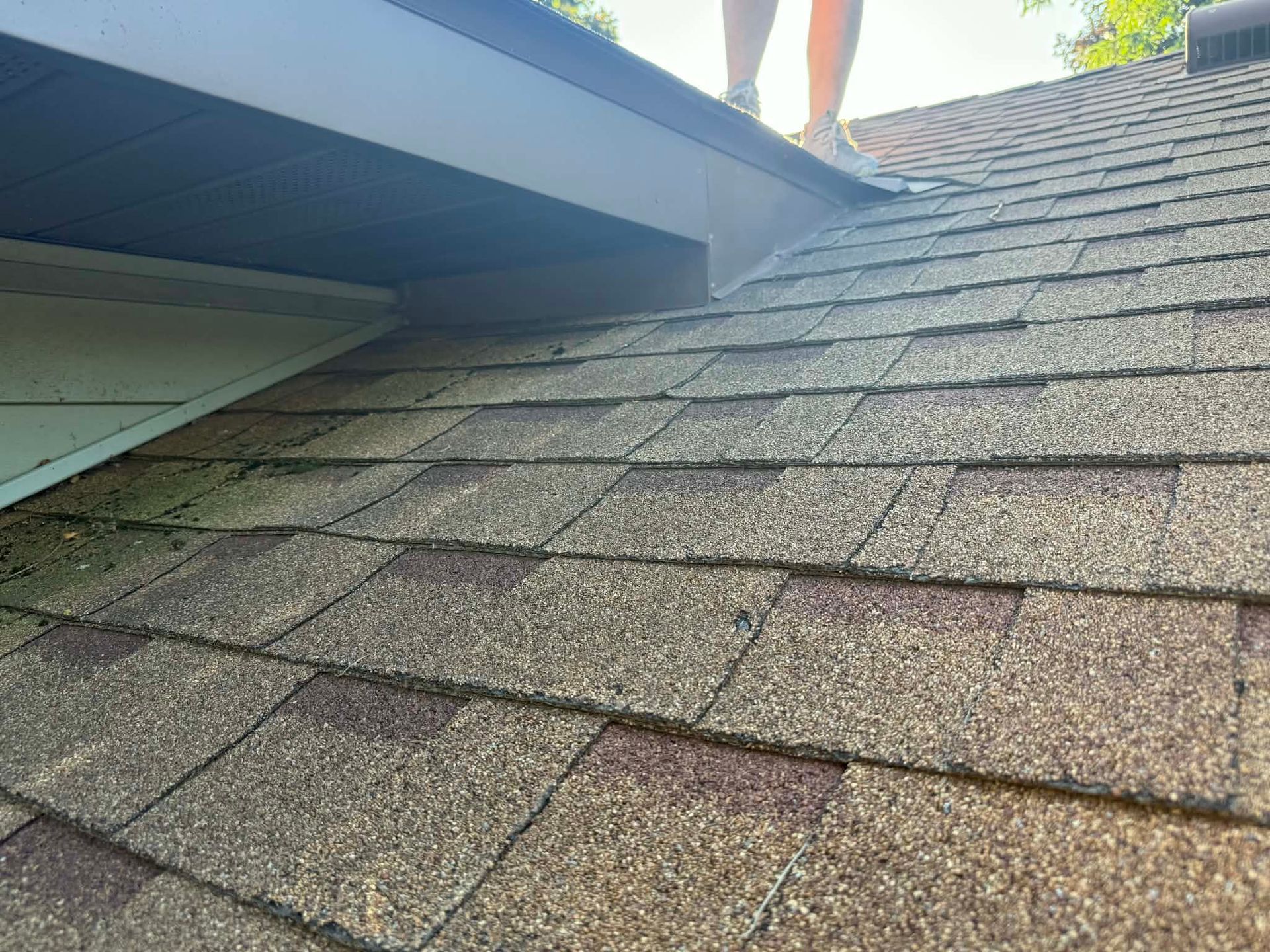 Roof shingles and a porch roof edge, with a person’s legs visible at the top near a roof ridge.