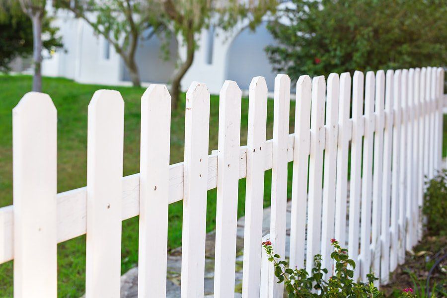 White picket fence along a green suburban yard with trees in the background