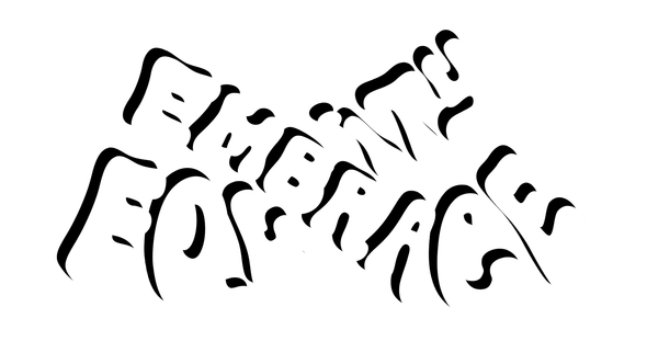 embrace public health equity