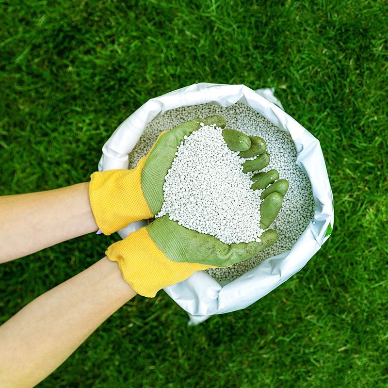 Lawn Fertilizer Lawn Fertilizer