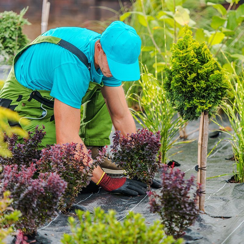 Landscaping Services Landscaping Services