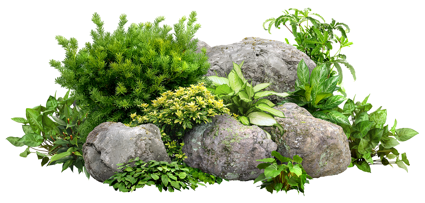 Shrub And Stones Shrub And Stones