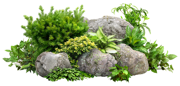 Shrub And Stones Shrub And Stones