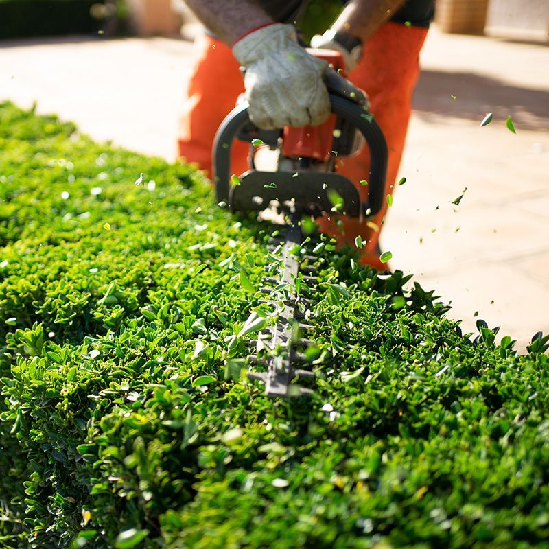 Lawn Trimming Lawn Trimming