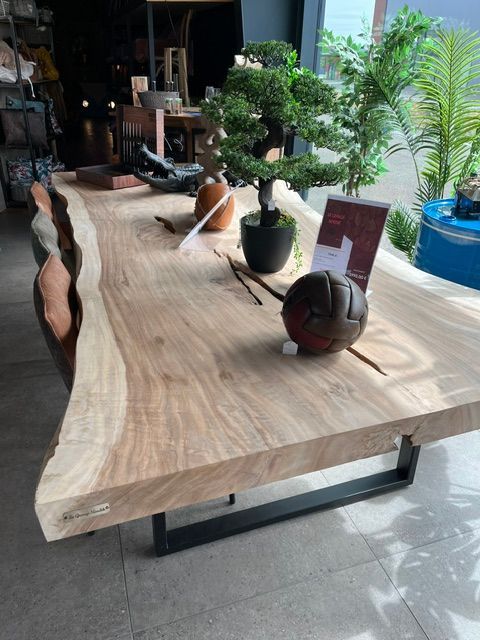 Table en bois brut avec bonsaï, décorations et pastèque à rayures rouges dans un espace intérieur lumineux