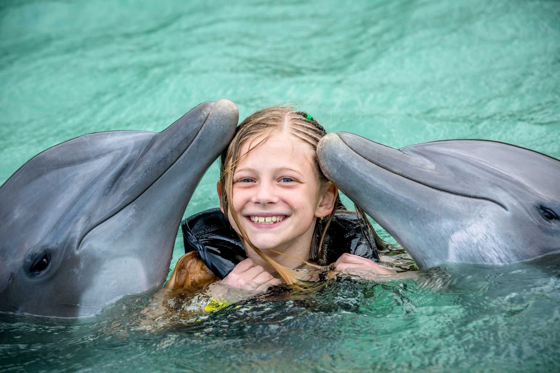Smiling girl between two dolphins in turquoise water, touching their heads
