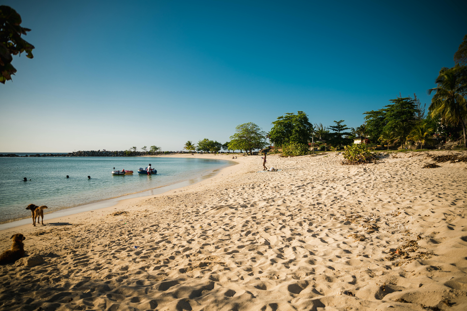 Sunny beach with turquoise water, a few swimmers, and palm trees along a sandy shoreline