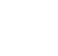 Brakes Icon